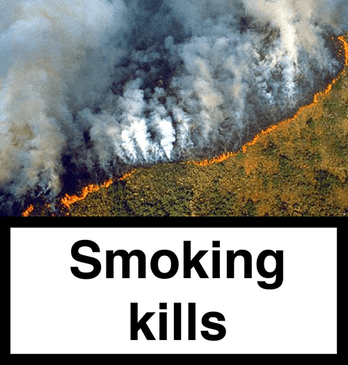 SmokingKills